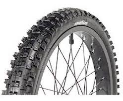 ebike tire