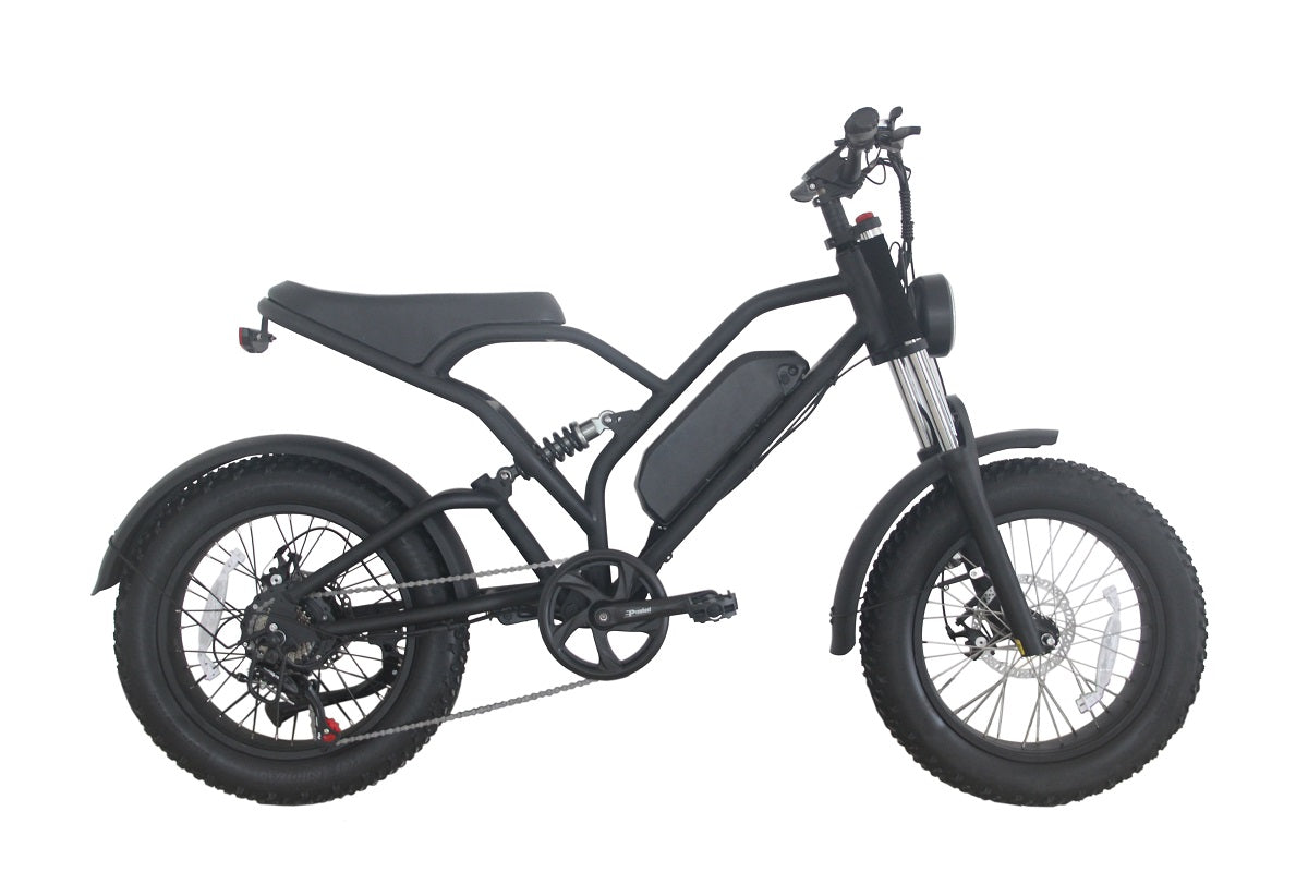 XNT 52V 1000W Poerful Center Motor Cruiser Electric Bike
