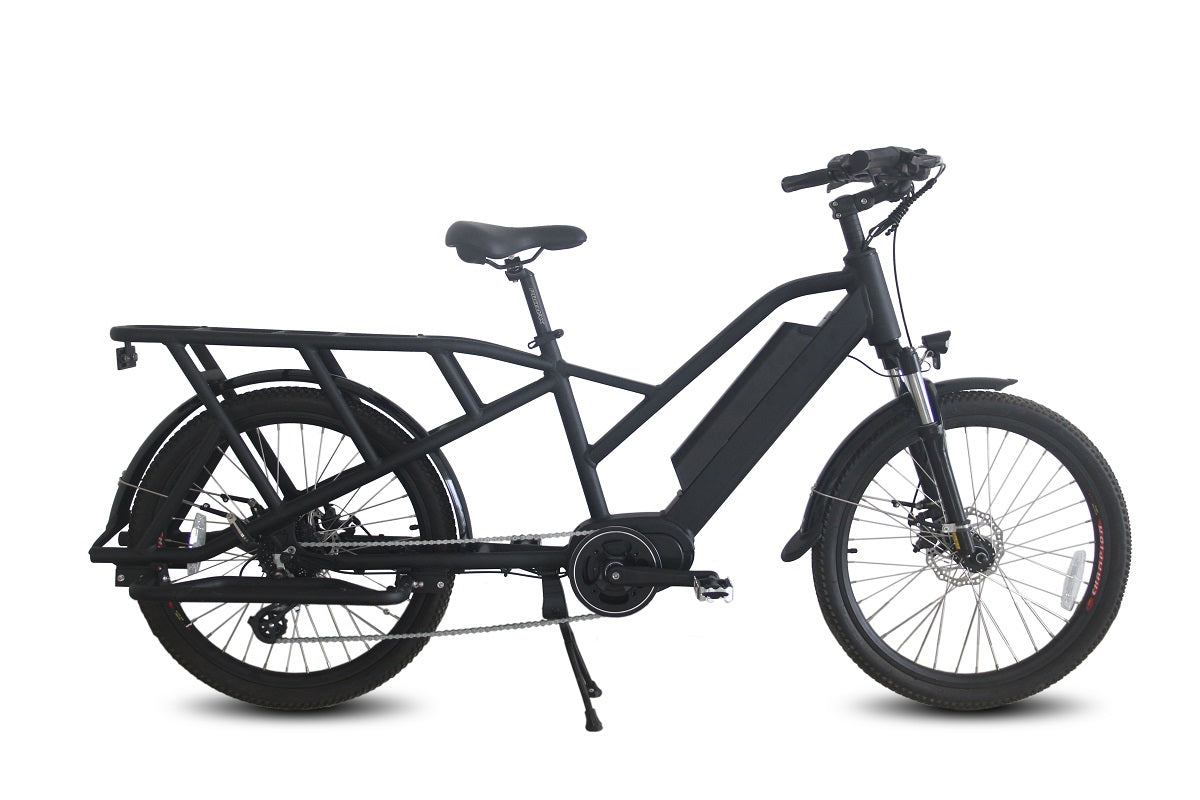 XNT Delivery Cargo Electric Bike with 350W Motor